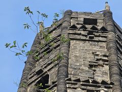 -上海佘山国家森林公园天马山园