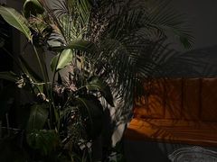 -UMe·玖觅(曲江店)