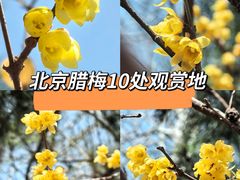 -月坛公园