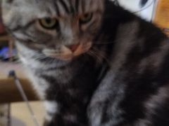 -平行世界·猫咖(首经贸店)