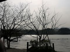 -西湖游船