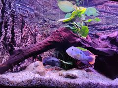 -上海海洋水族馆