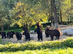 -北京野生动物园