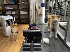 -YCHL Studios健身工作室(市二宫店)