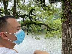 -潮镇老尾牛杂(环城西路店)