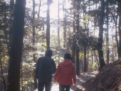 -四明山国家森林公园