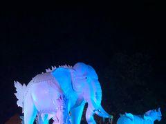 -清迈夜间动物园