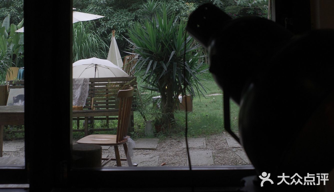 误入乐山大佛脚下的田园咖啡馆