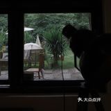 误入乐山大佛脚下的田园咖啡馆