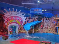 -烟台海昌鲸鲨海洋公园