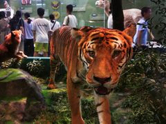 -国家自然博物馆