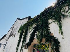 -绮园景区