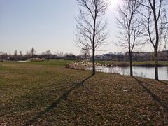 -安德鲁户外烧烤帐篷营地(马泉营店)