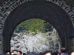 -鸡鸣寺