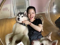 -Husky Go! 哈士奇体验馆·宠物咖啡厅狗咖