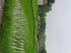 -北坞公园