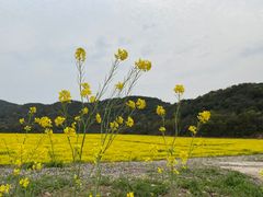 -苏州太湖国家湿地公园