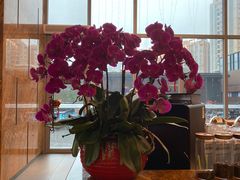 -德悦高风味餐厅