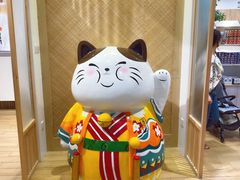 -屋虎猫馆(宝安大仟里店)