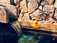 -有马温泉 竹取亭円山温泉旅馆