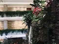 -广州白天鹅宾馆