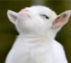 -IDO婚纱摄影(上海旗舰店)