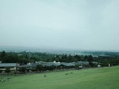 -奈良公园