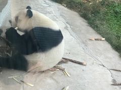 -西安秦岭野生动物园