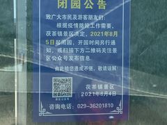 -茯茶镇