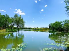 -东郊湿地公园