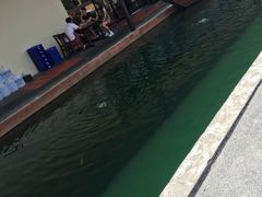 -水都餐厅