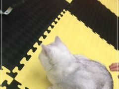 -拳盛时代拳击俱乐部(北京路店)
