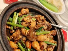 -粤来记·啫啫煲·点心(日月光店)