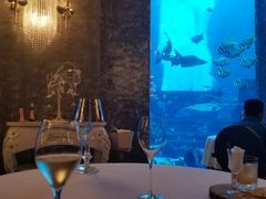 -迪拜帆船酒店海底餐厅