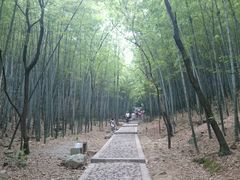 android_upload_pic-穹窿山景区