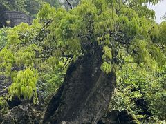 -梭布垭石林景区