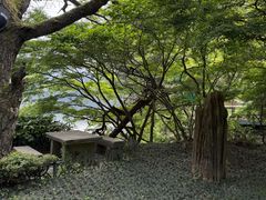 -庐山风景区花径公园