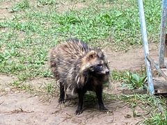 -青藏高原野生动物园