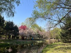 -长白岛森林公园