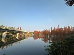 -白鹭湾湿地公园