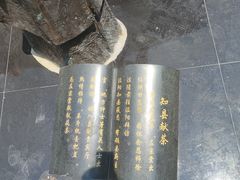 -茯茶镇