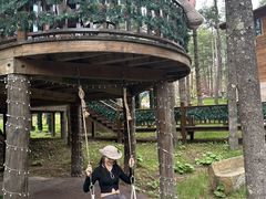 -洛阳白云山景区