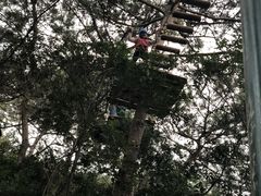 -芦仙山景区-飞越丛林探险乐园