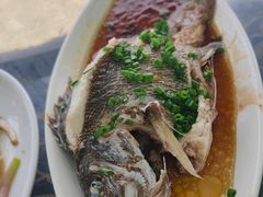 -七鲜渔港美食餐厅(巽寮湾海景店)