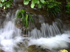 -水磨沟环境自然保护区