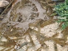 -上海神旺大酒店