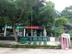 -芦仙山景区-飞越丛林探险乐园