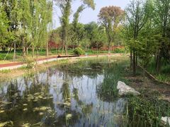 -昆山城市生态森林公园