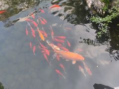 -径山寺