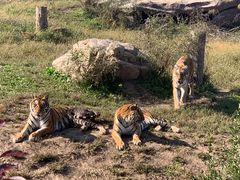 -沈阳森林动物园